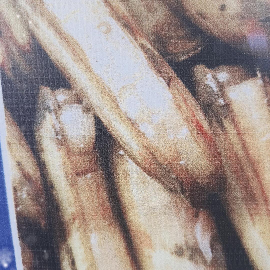 长街蛏子