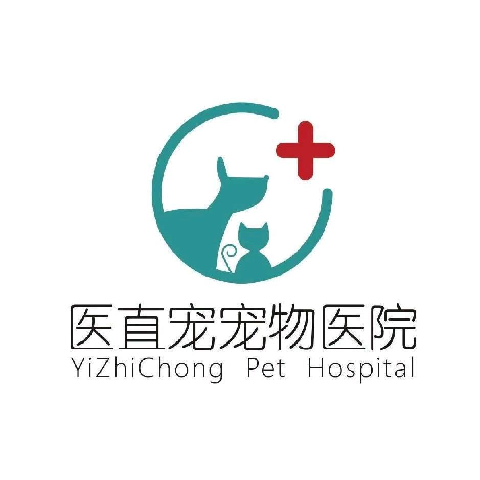医直宠宠物医院（邓州店）🏥