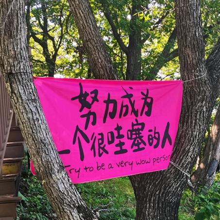举哥