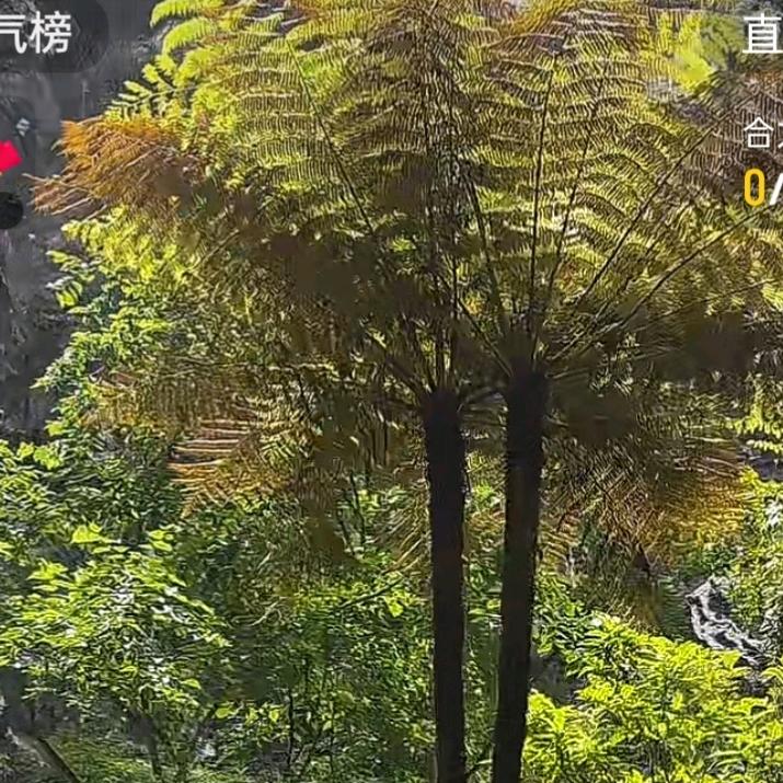 见贤思齐