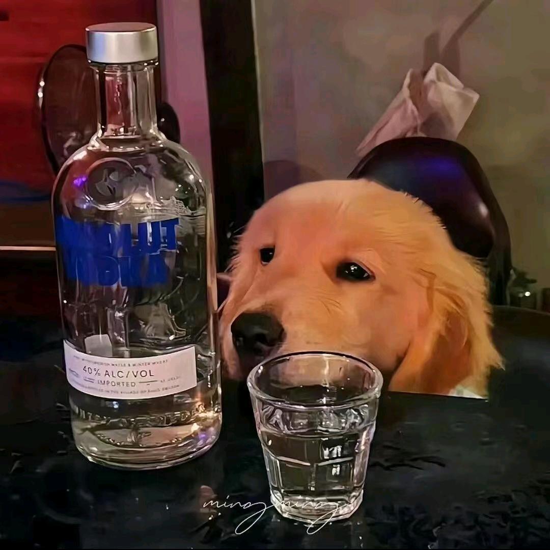 折翼