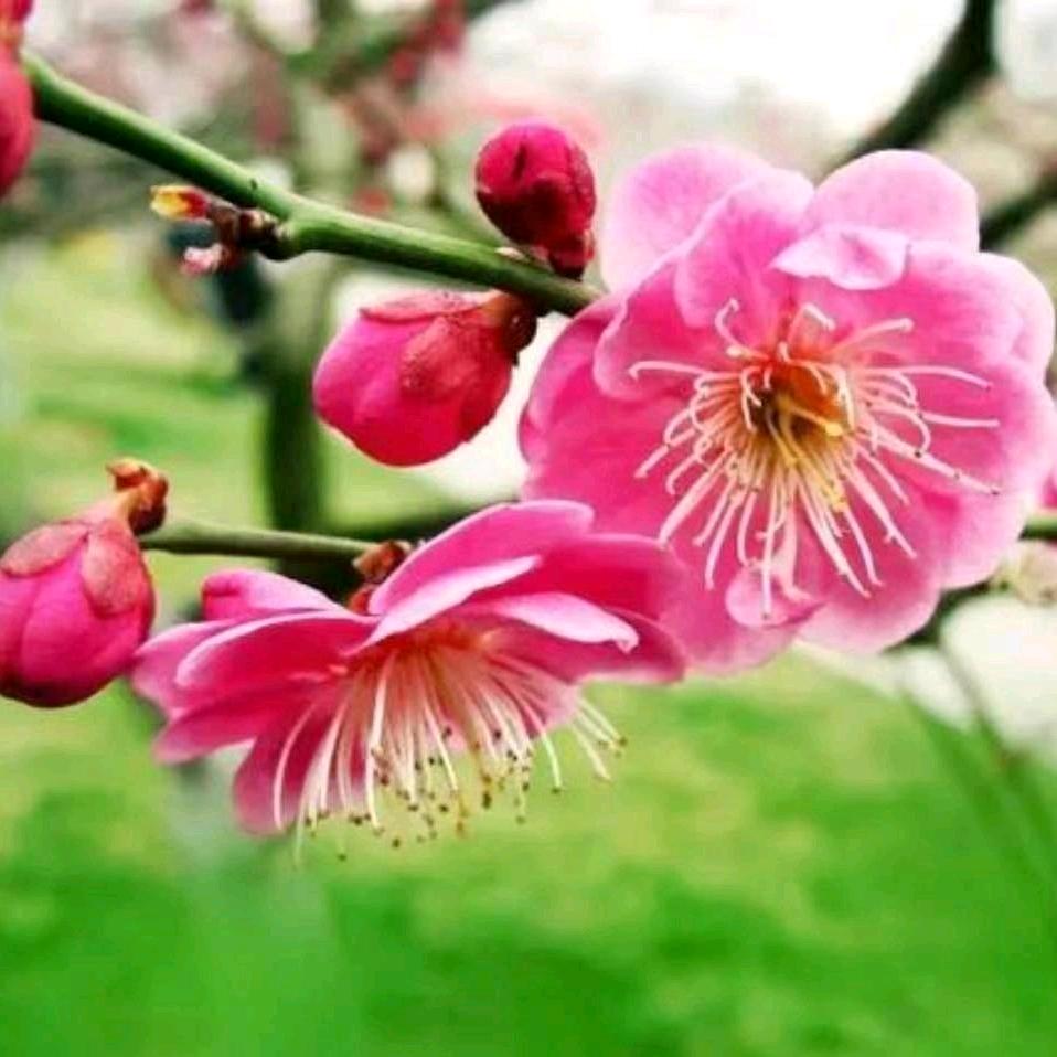 圣意家圆超市阿梅