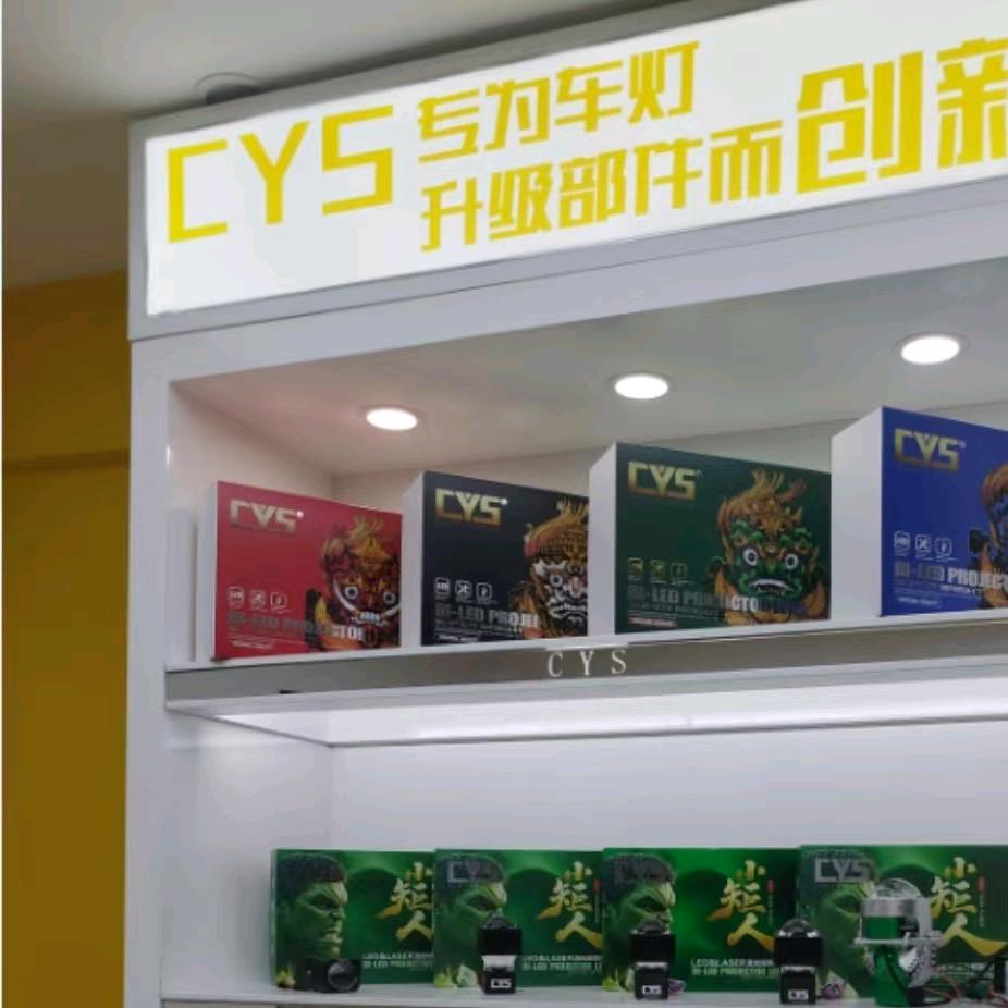 广州车元素车灯辅料批发