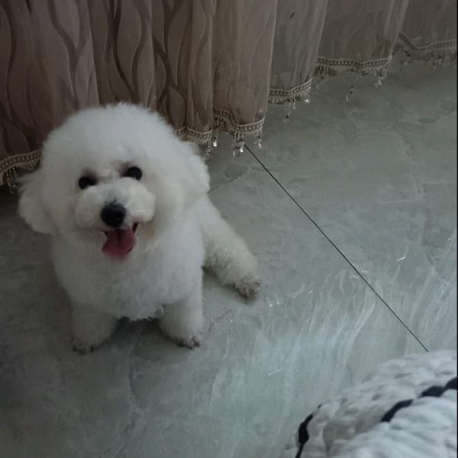 小芒果妈妈