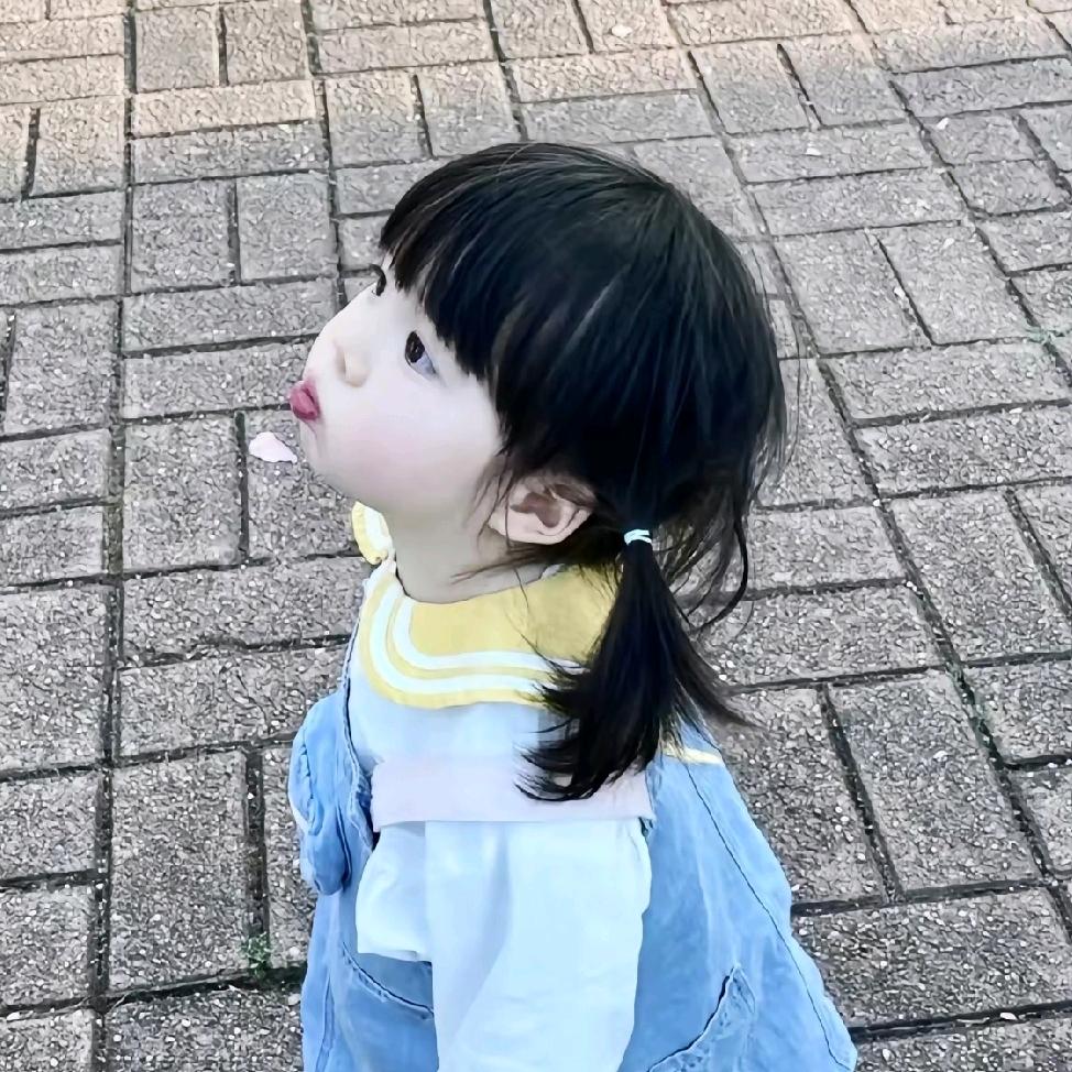 疯狂海苔2.0