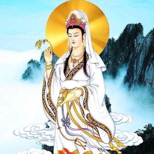 乐百事(ง •̀_•́)请不要连赞