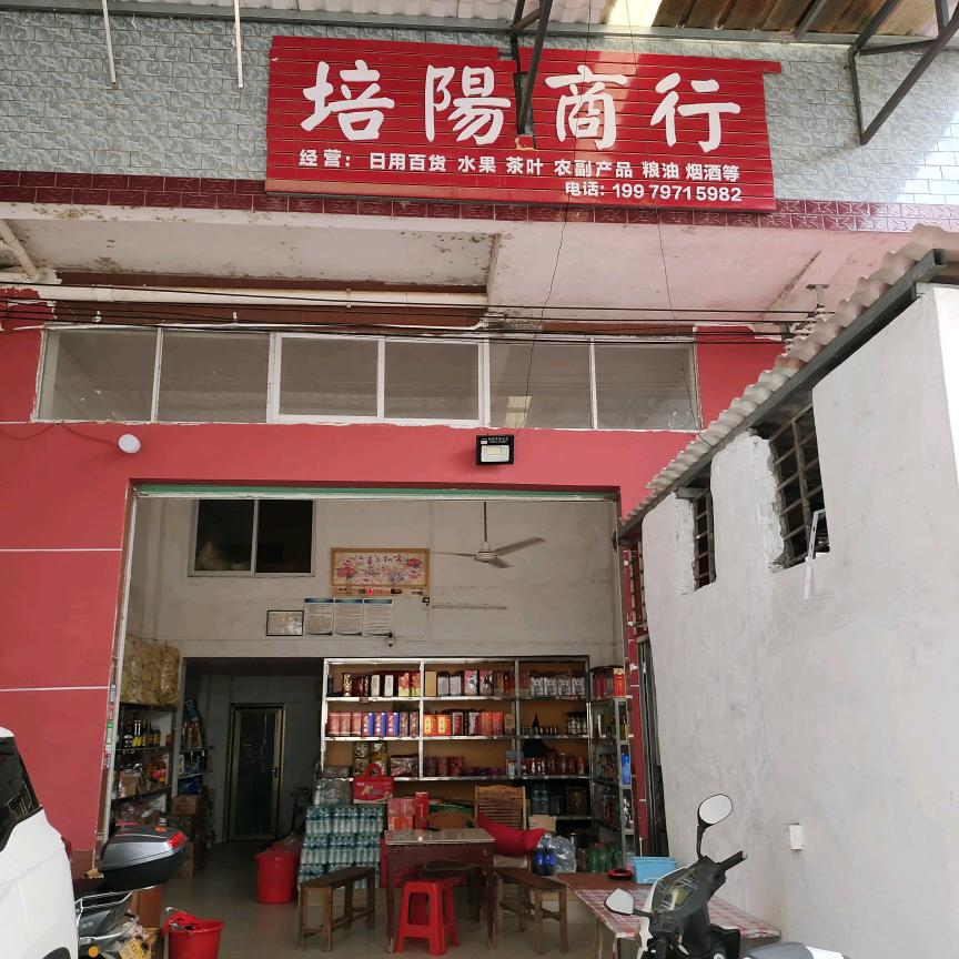 刘培陽