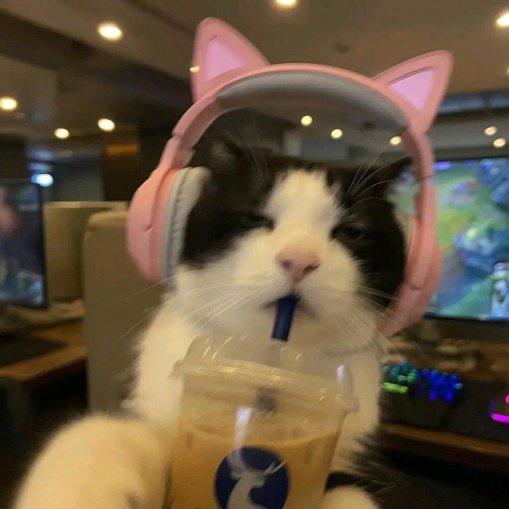 白开水 √