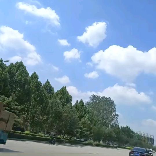丽（拒私聊）