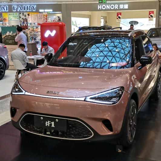 洛阳鹏哥