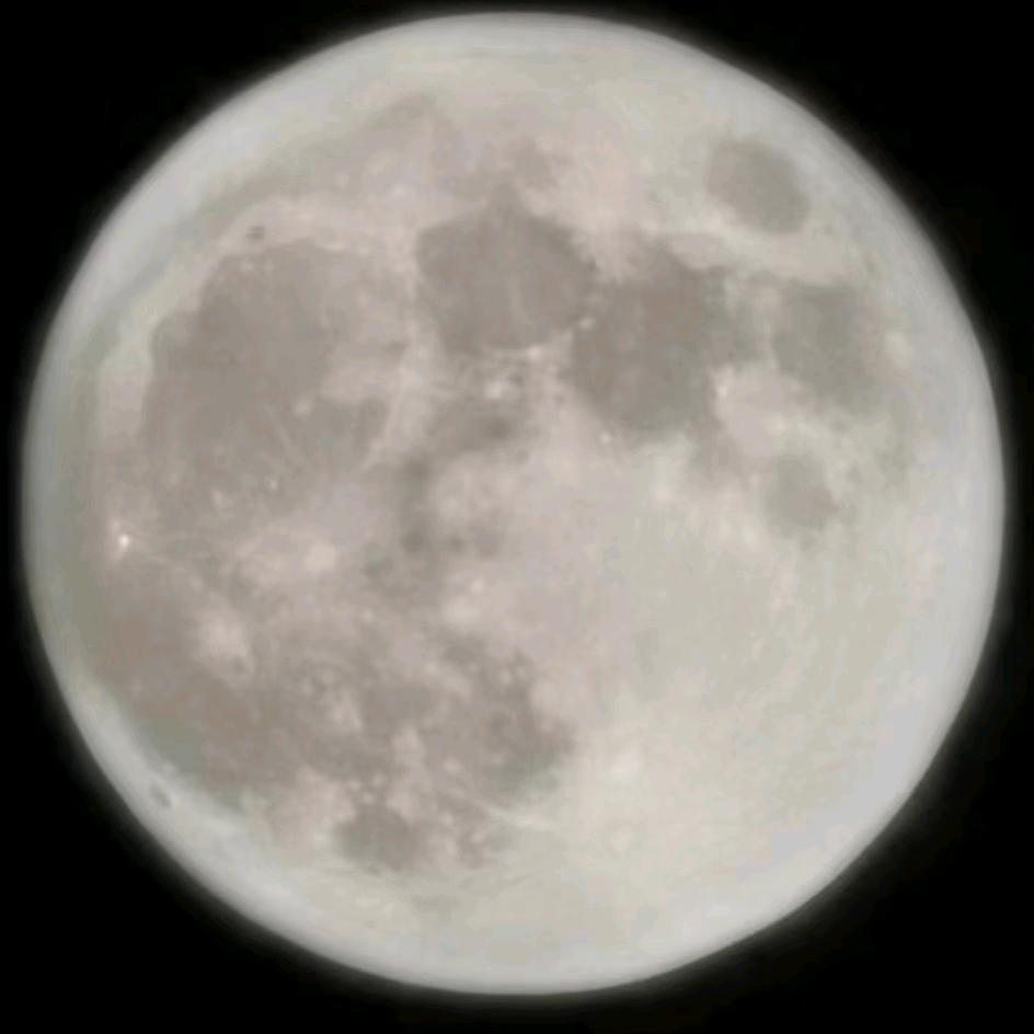 一只小小鸟