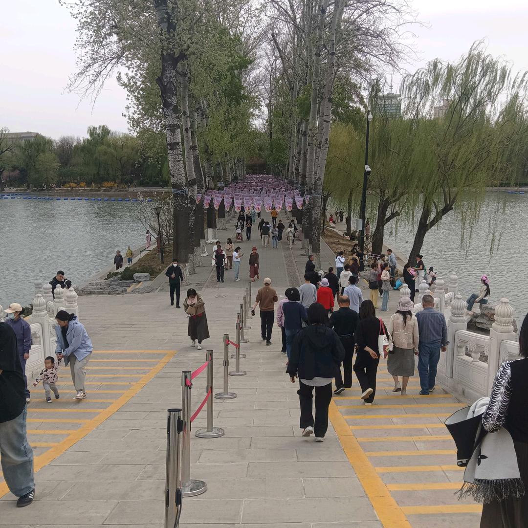 等风等雨也等你