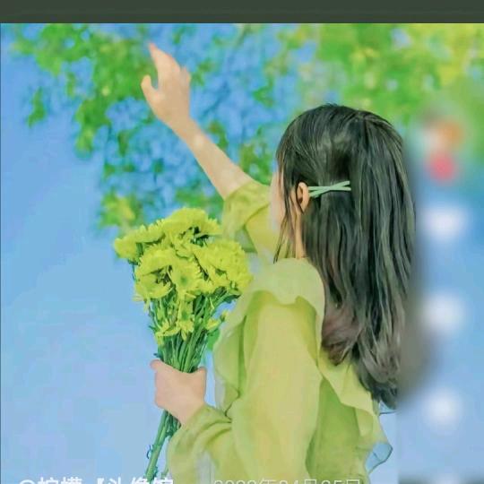 玫瑰🌹花香