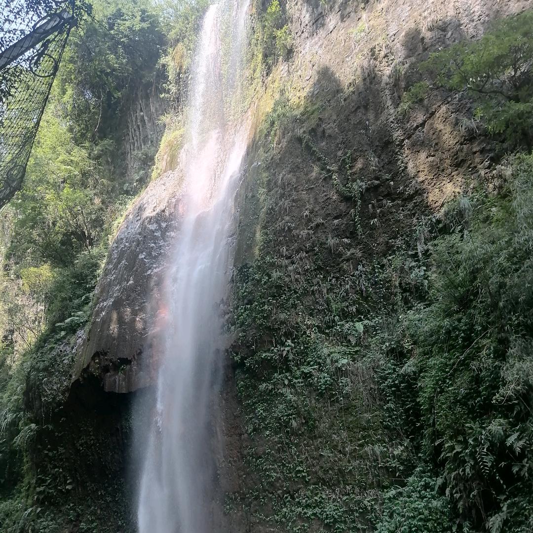范哥哥