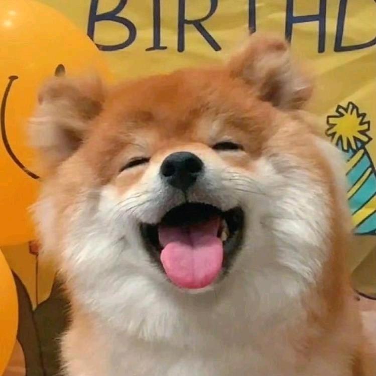 发福奥利奥୧⍤⃝🍪