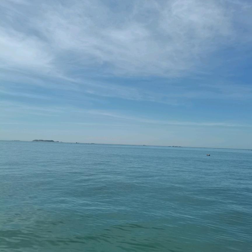 海棠