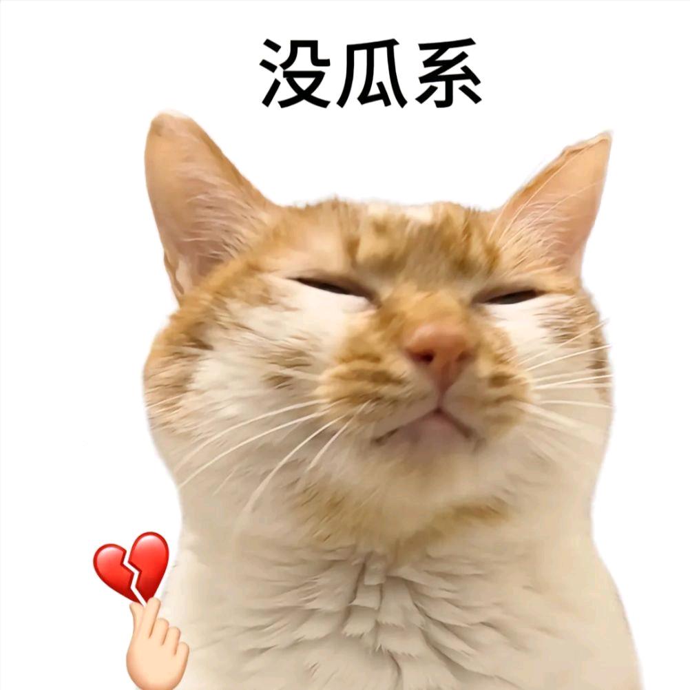 我钮祜禄小xu回来啦！