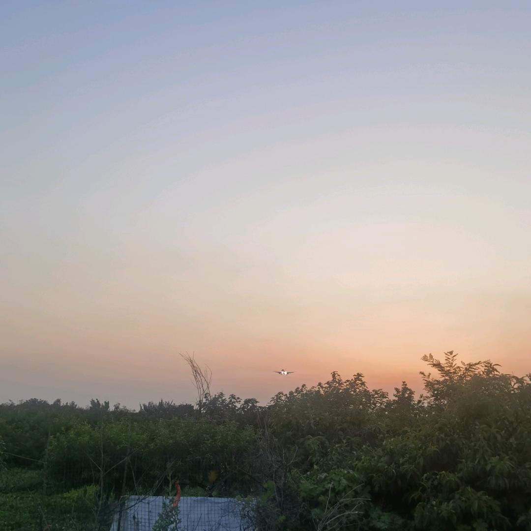 NAN头像
