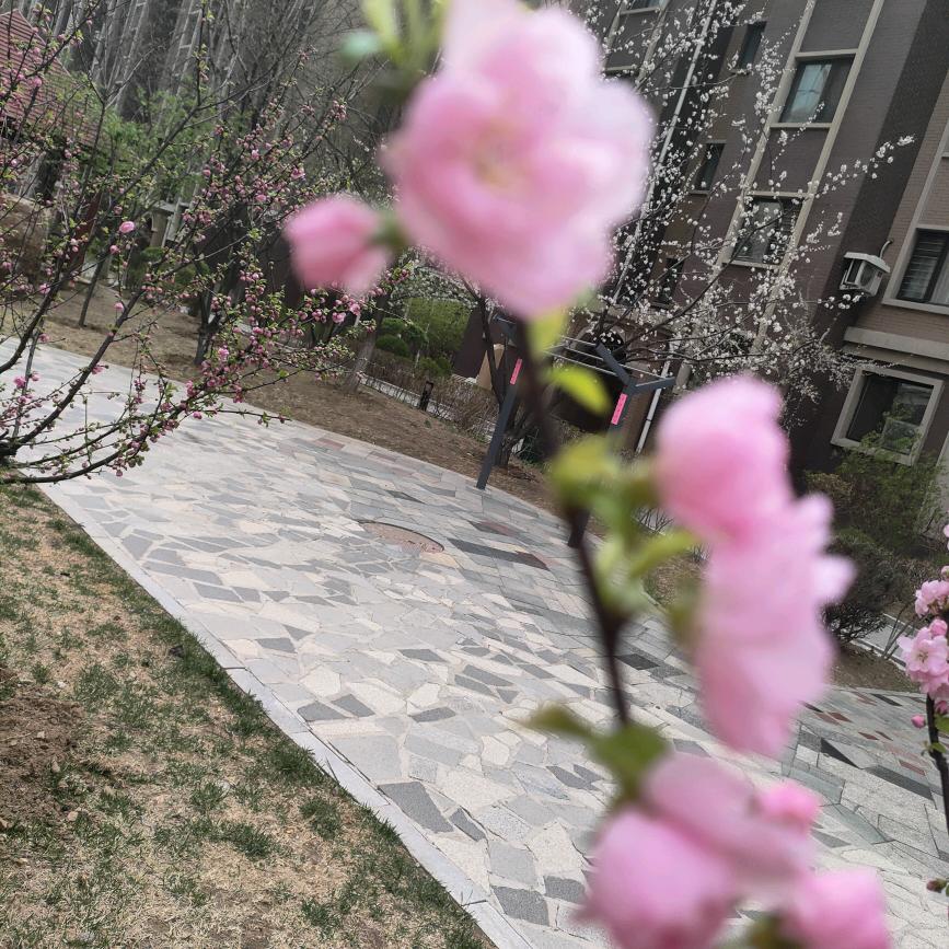 拒绝焦虑86564322