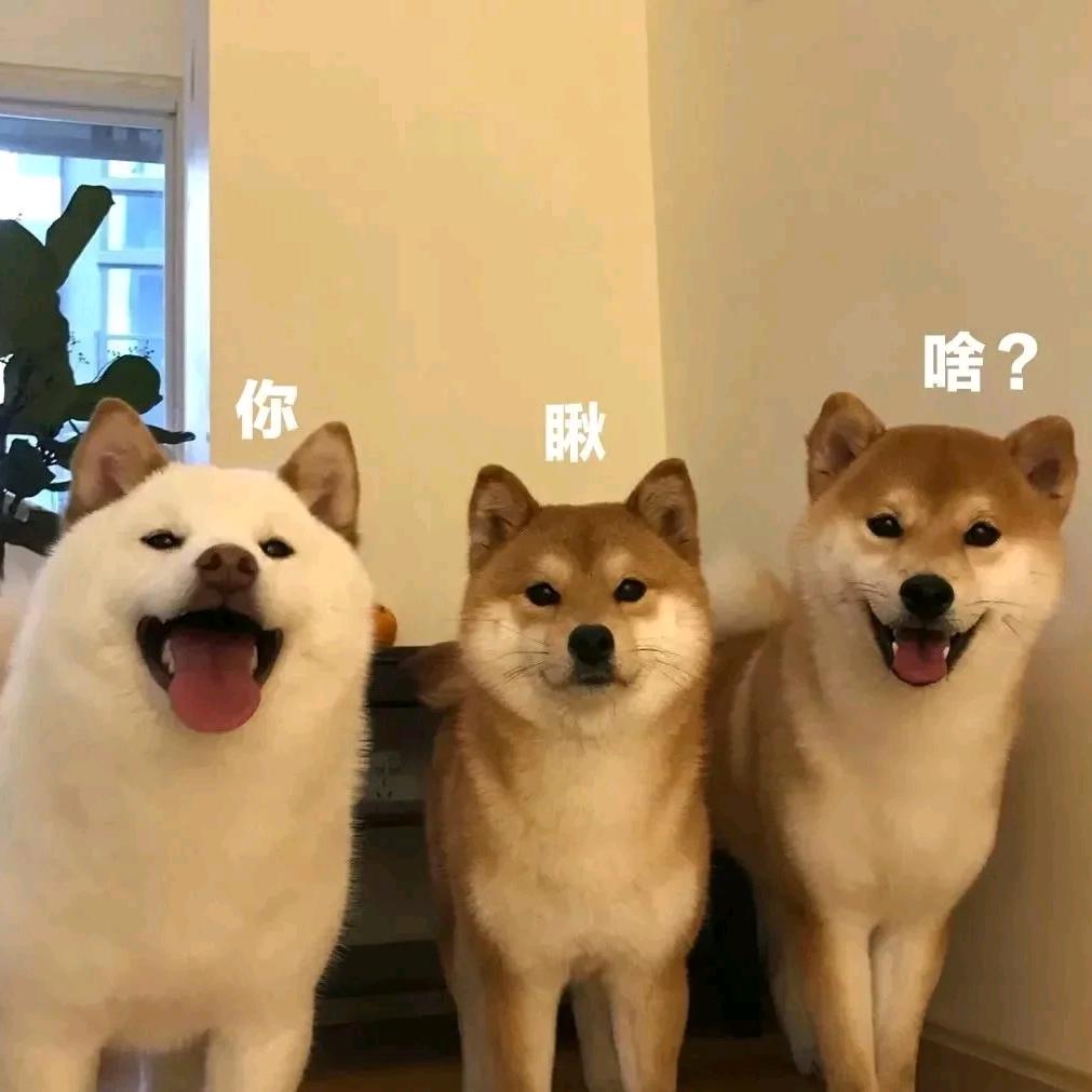 唔系好掂哦!