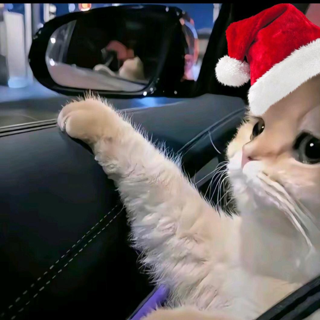 对方正在输入...