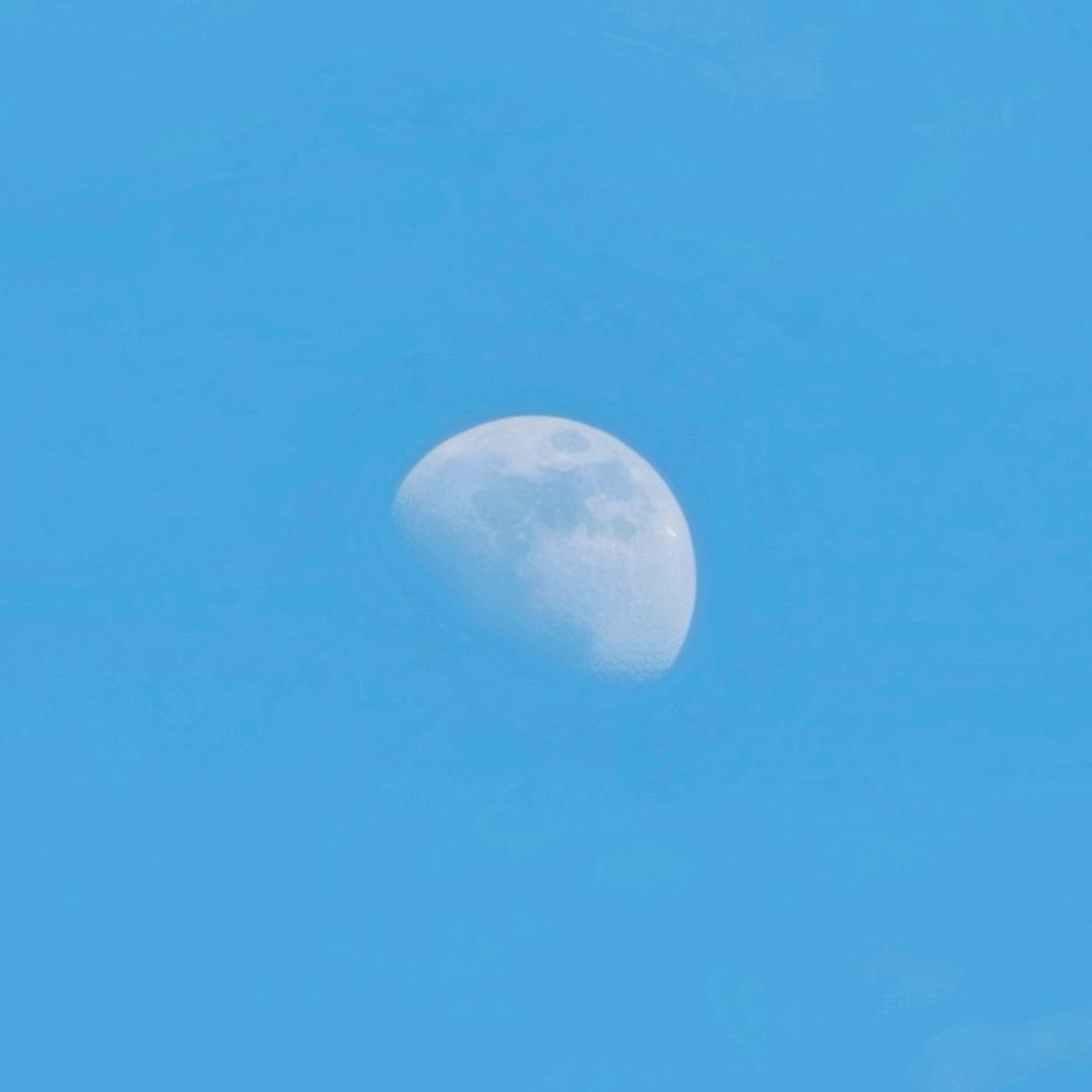 蒸蒸日上啊