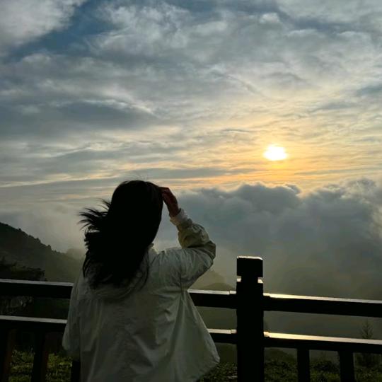 美丽说