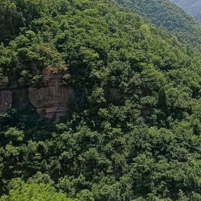 风景如画