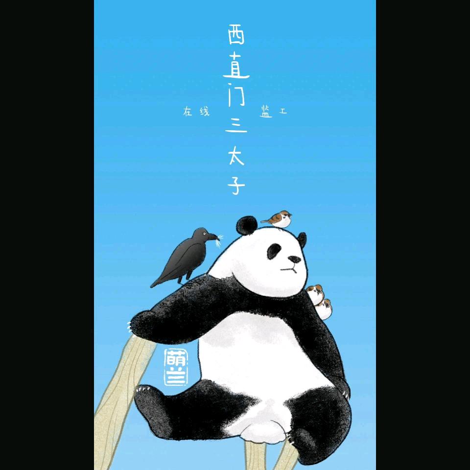 微乐熊猫