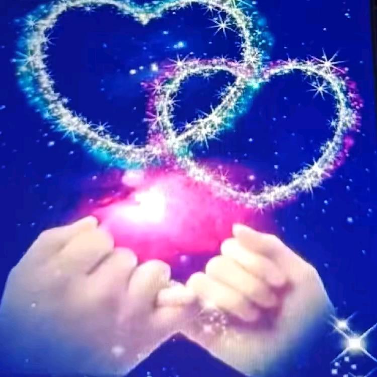 🌹🌹🌹可爱🌹🌹🌹