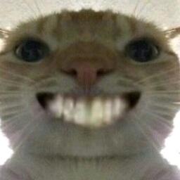 💗᭄ꦿ꯭꯭老龚ꦿꦿᩚ༉