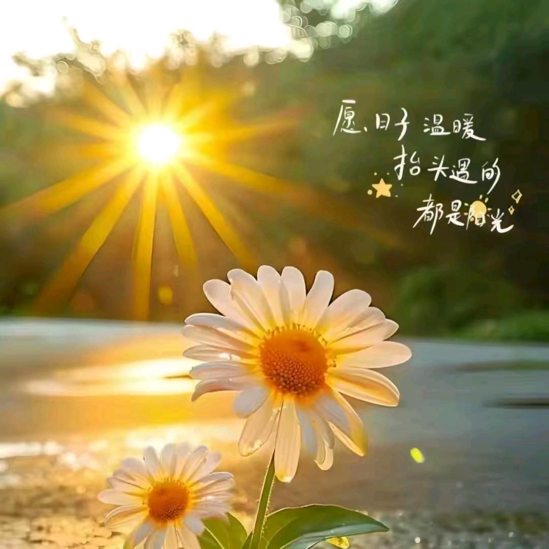 💅🏻嫣然一笑💐