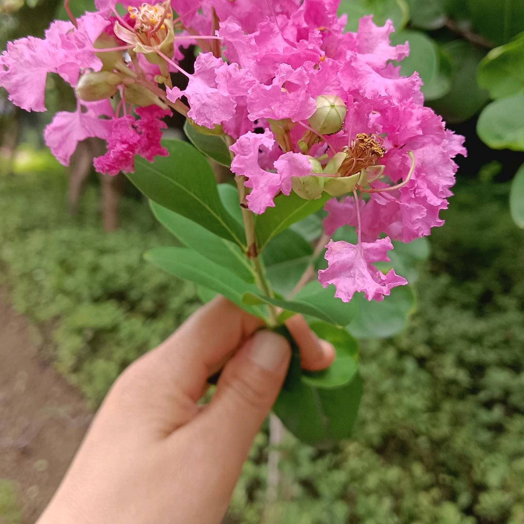 渡我