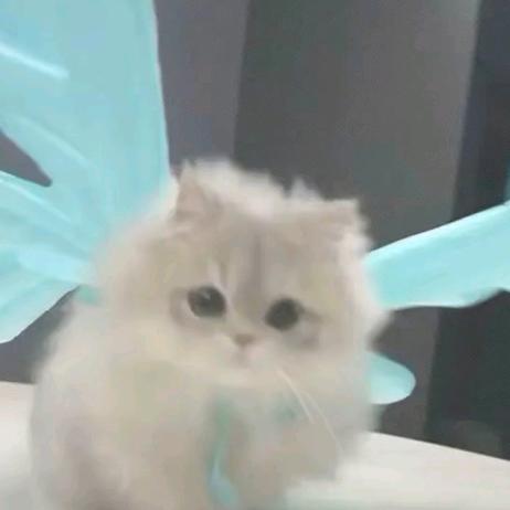 方糖维C