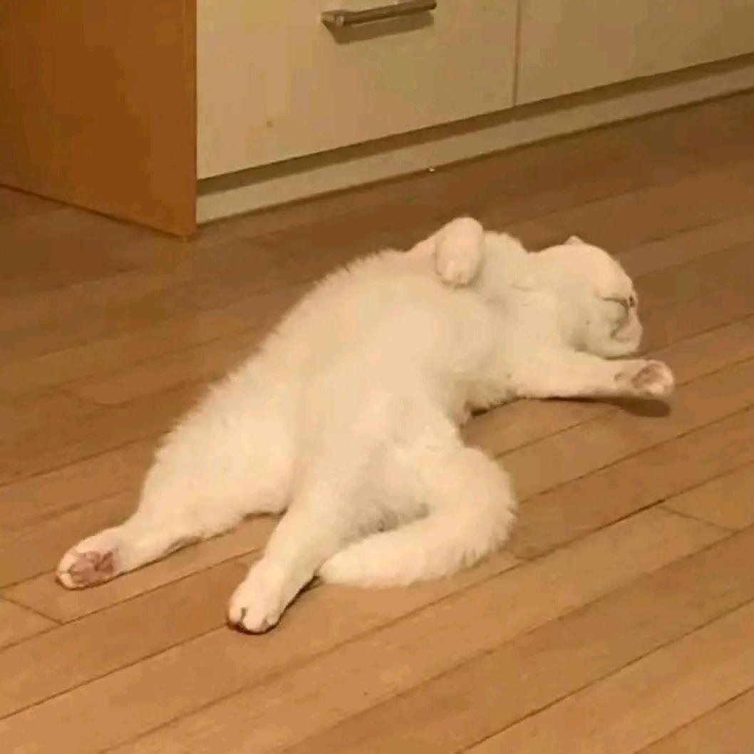 今天还没吃火鸡面