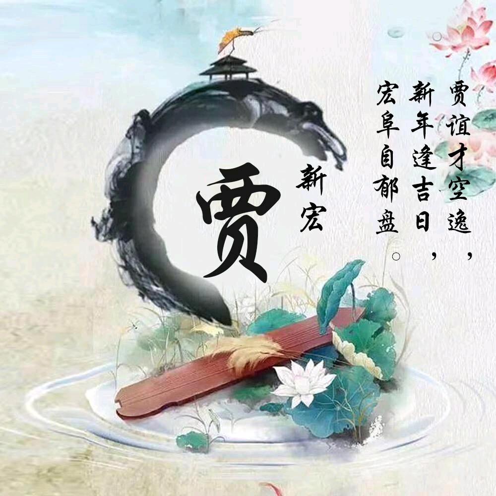 龙哥