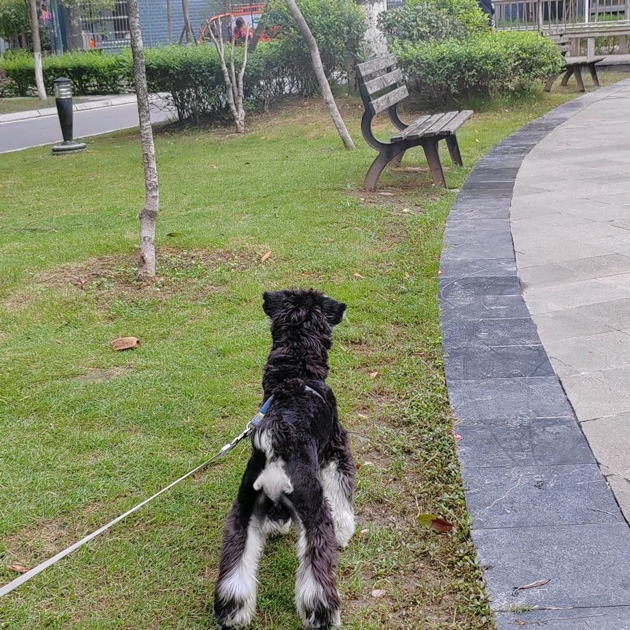 💎🌈鲁卡爱吃肉