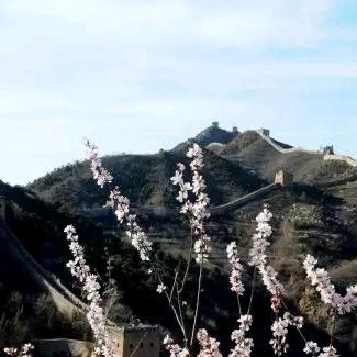 童鑫客栈