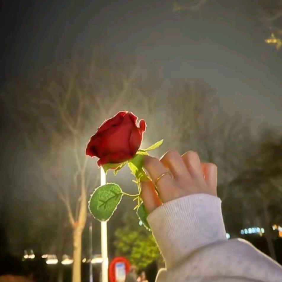 ღ᭄ོ未来可期༊