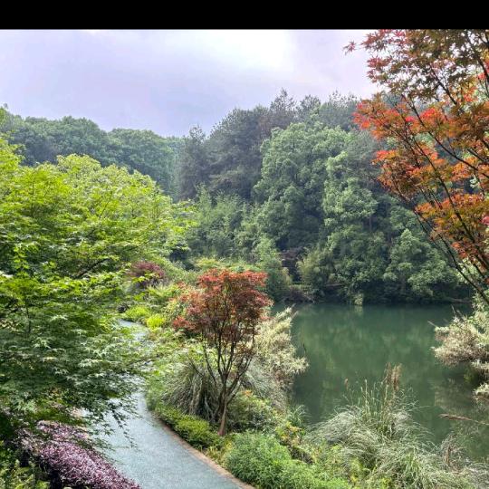 展望未来，前程似锦