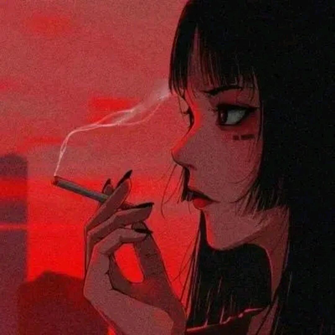 🍬蓝桉已遇释槐鸟