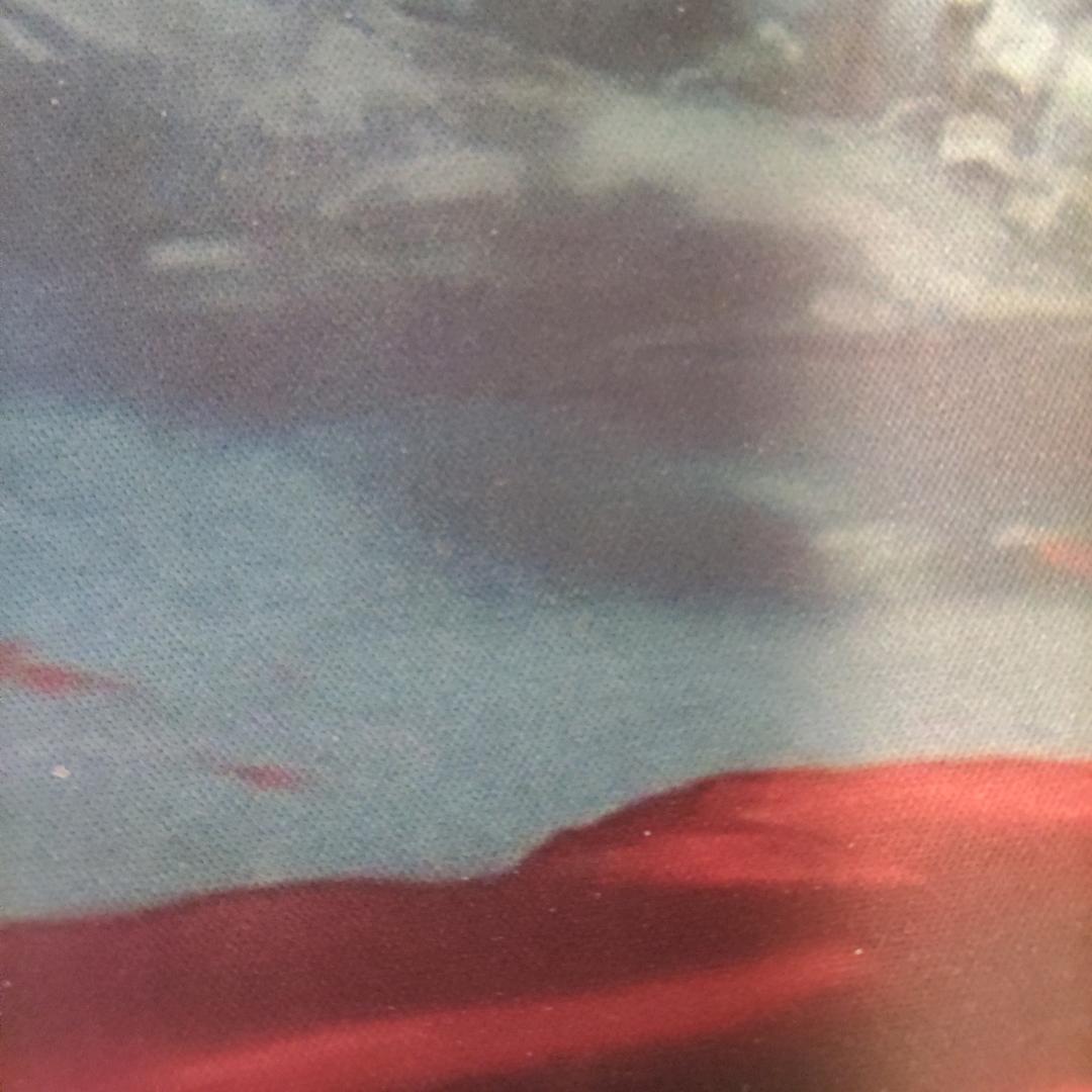 安清清