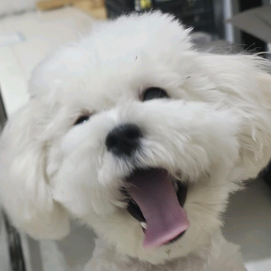 撞了怀