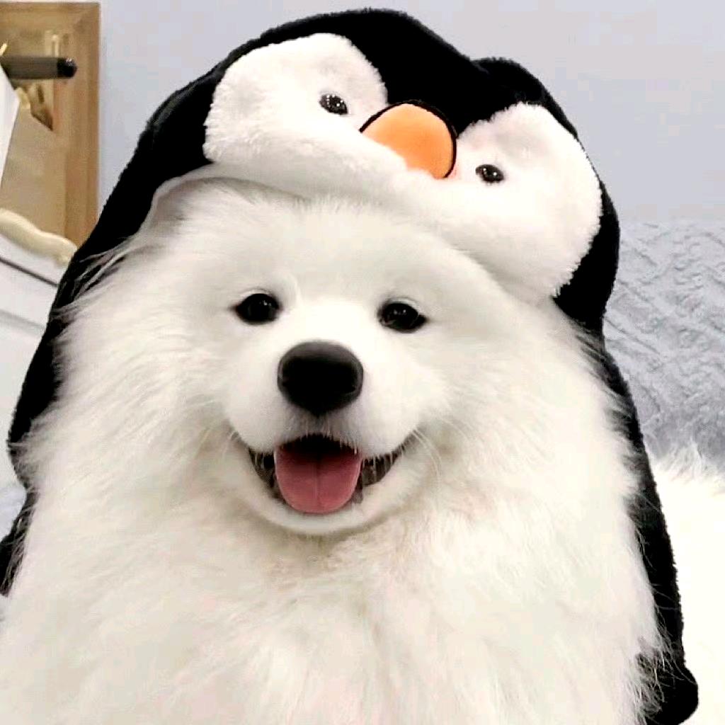 悠然自得
