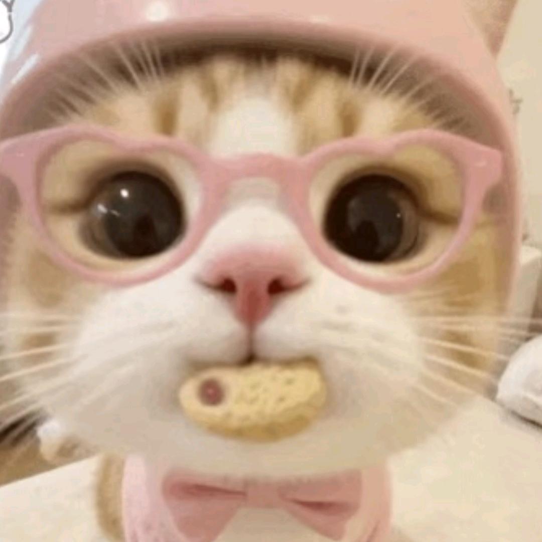 咖啡不加糖•ᴥ•