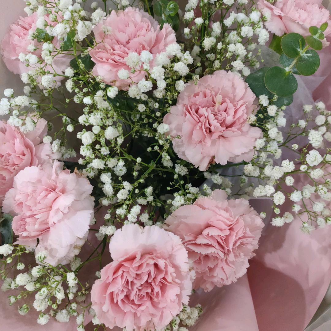 平凡人生🌹