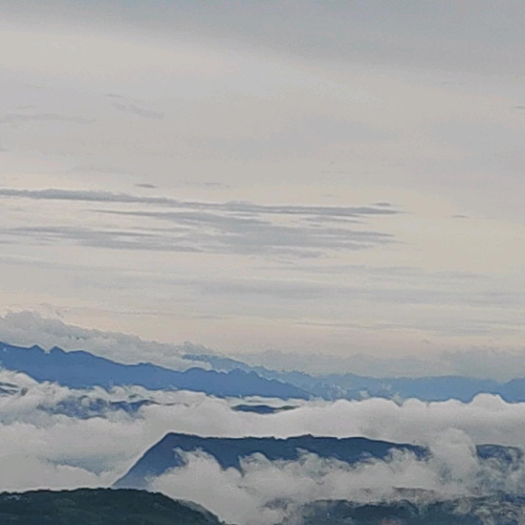夏山