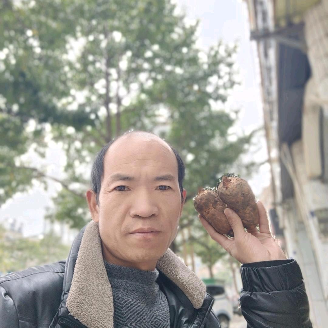 宗巧天麻