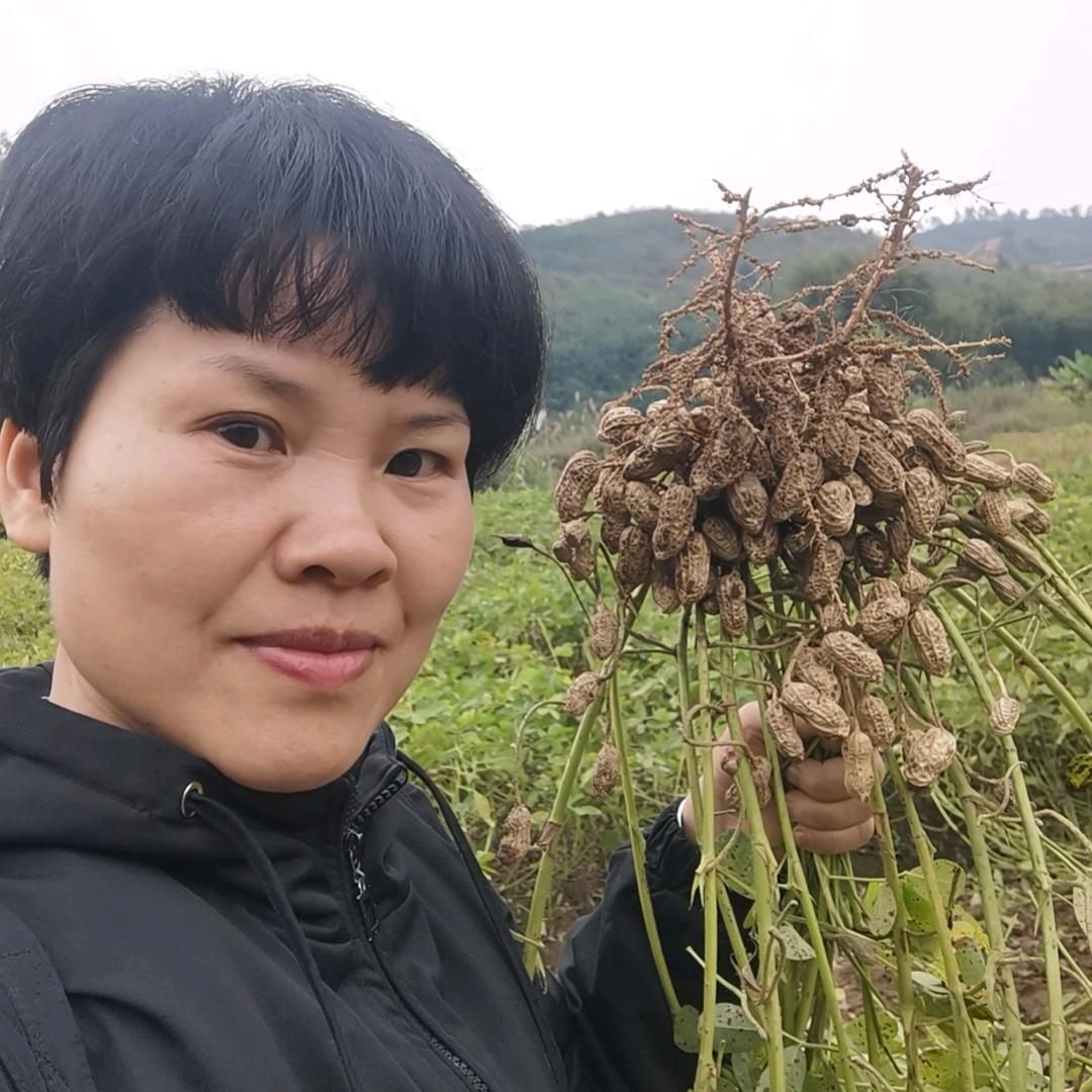 藤县红日农业韦烨