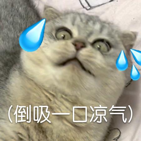炽天使龙羽